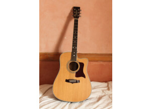 Tanglewood TW15 NS (55753)