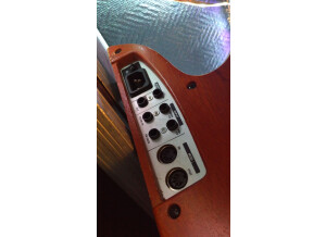 Moog Music Little Phatty Tribute Edition (65669)
