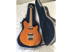 Peavey Wolfgang Special (4035)