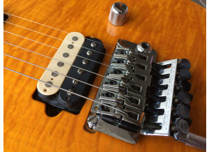 Peavey Wolfgang Special (8461)