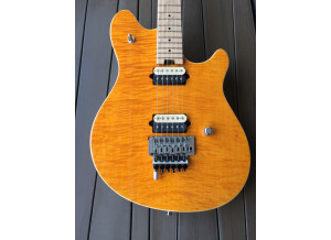 Peavey Wolfgang Special (28640)