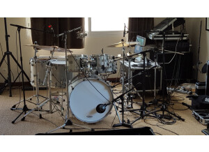 Yamaha Absolute Hybrid Maple (85963)