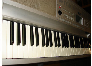 Yamaha DGX-300 (3732)