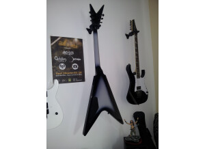 Washburn Dime V Pro (38579)