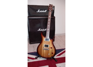 PRS SE Standard 22 (59355)