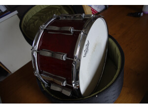Ludwig Drums Coliseum Snare (51384)