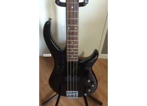 Peavey Fury II