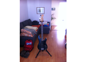 Fender Precision Bass (1977) (38081)