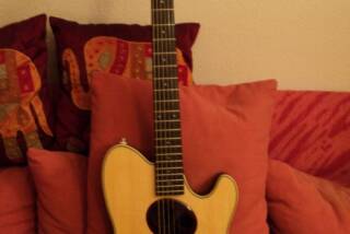 Ibanez TTR30N
