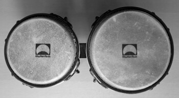 bongo top downBW bongo top downBW
