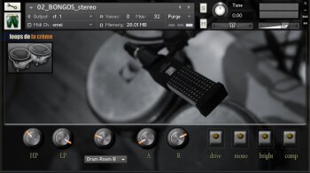 Easy Bongos Mic Easy Bongos Mic