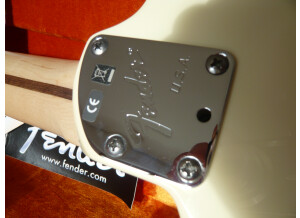 Fender Jeff Beck Stratocaster (24916)
