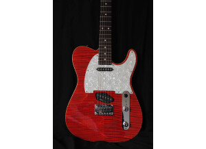 Tom Anderson HOLLOW T CLASSIC (4945)