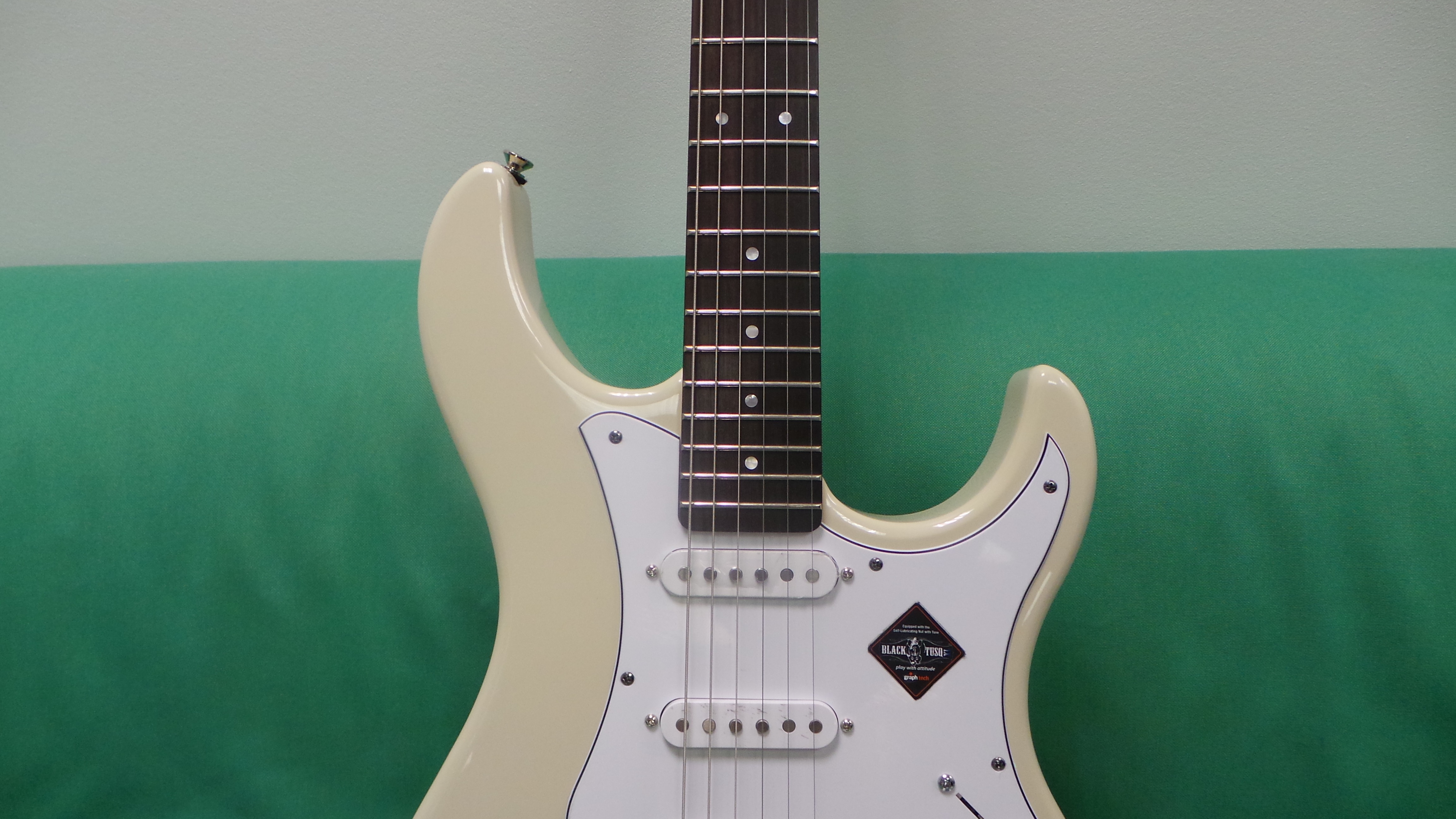 Line 6 Variax Standard : Variax Standard1