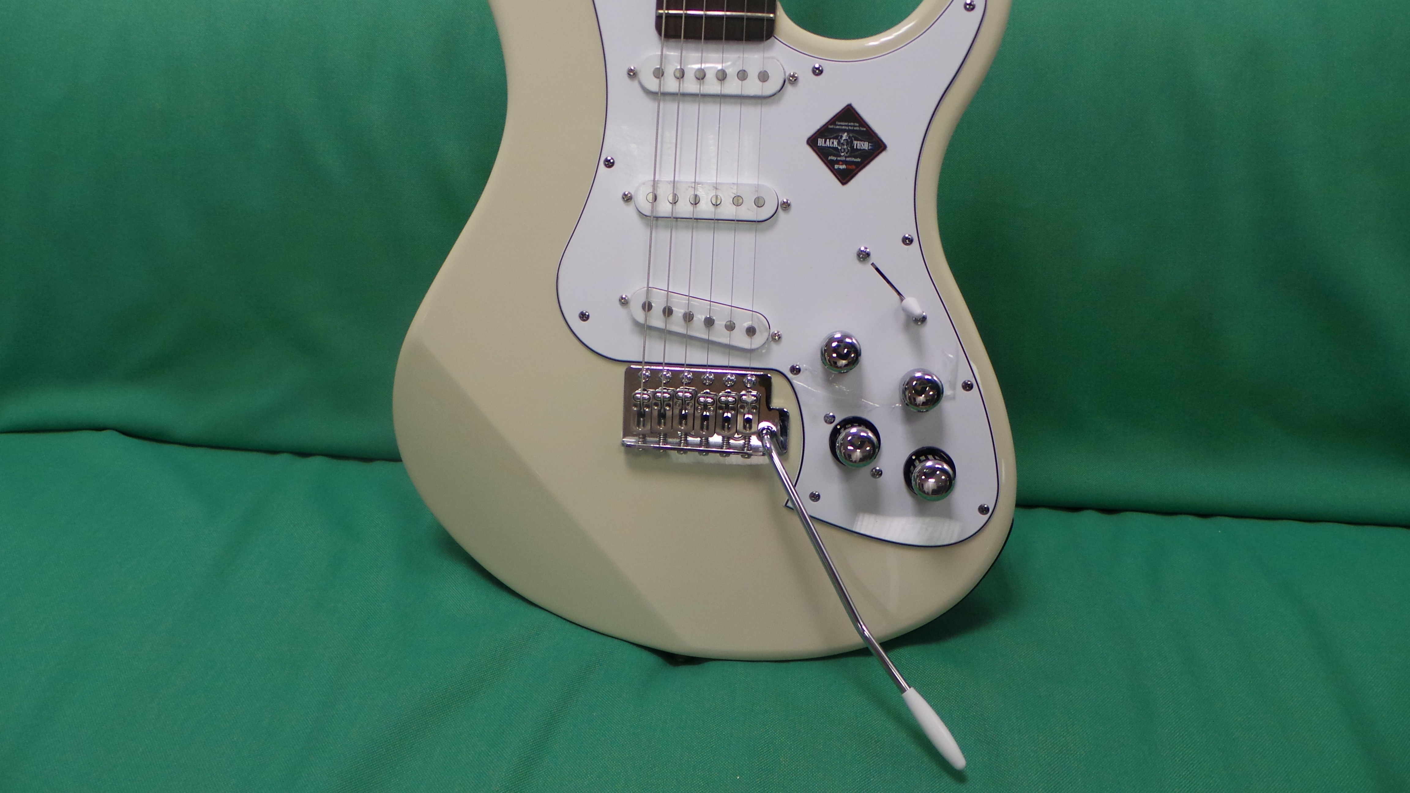 Line 6 Variax Standard : Variax Standard2