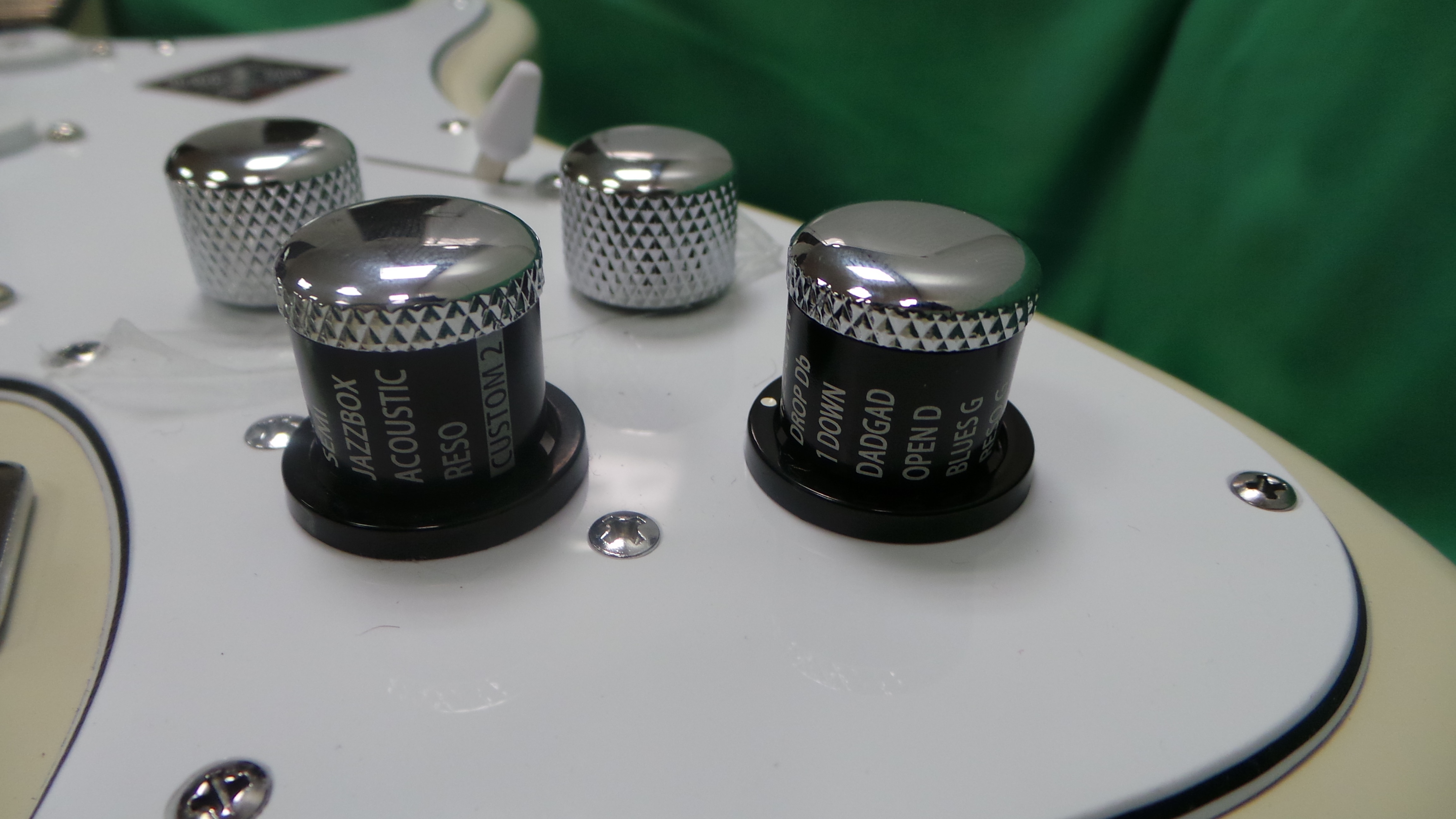 Line 6 Variax Standard : Variax Standard11