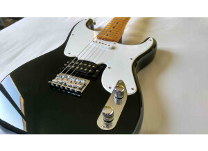 Fender Pawn Shop '51 (34803)