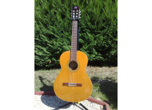 Alhambra Guitars 3C (48467)