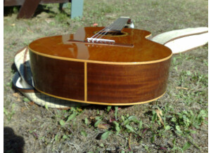 Alhambra Guitars 3C (36528)
