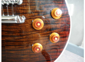 Gibson Les Paul Standard Plus 2014 - Honey Burst Perimeter (58766)