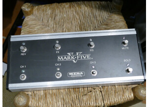 Mesa Boogie Mark V Combo (34876)