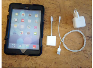 Apple iPad mini 2 (52091)