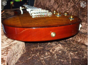 PRS SC 58 - Black Gold (85178)
