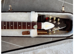 Gibson Flying V '67 Reissue - Ebony (23312)