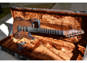 Chapman Guitars ML-1 Walnut Body (26137)