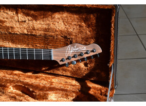 Chapman Guitars ML-1 Walnut Body (92724)