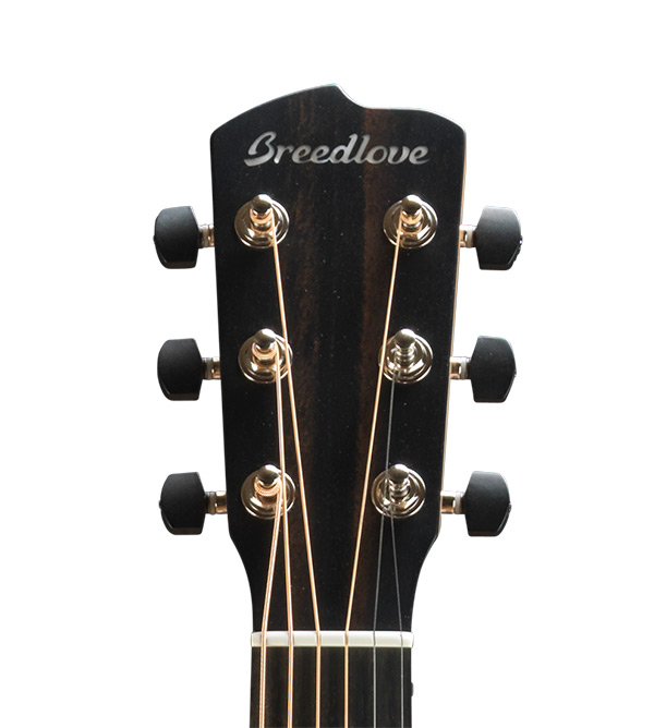 Breedlove Oregon Concerto E (Myrtlewood) : OREGON CONCERTO hsf
