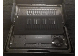 ROLI Seaboard Rise 25 (71065)