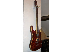 Elypse Guitars X500 Pro (12414)