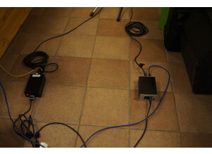 Test 2 BL 6 et alims différentes (4)