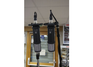 Test 2 BL 6 et alims différentes (2)