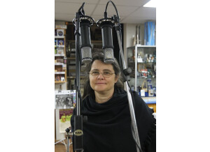 Test 2 BL 6 et alims différentes (12)