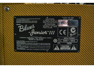 Fender Blues Junior NOS (88412)