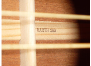 Cort Earth 200