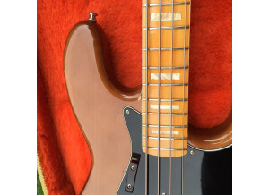 Fender Jazz Bass (1973) (6553)