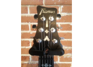 Framus Panthera Custom (95208)
