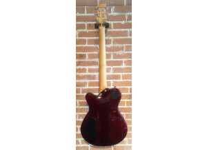 Framus Panthera Custom (25621)