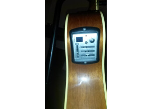 Yamaha APX700 (36117)