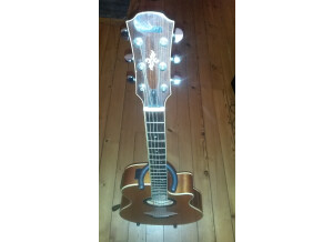 Yamaha APX700 (21798)