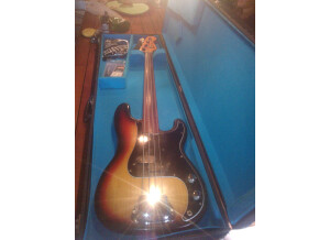 Fender Precision Bass (1976) (76186)