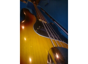 Fender Precision Bass (1976) (39714)