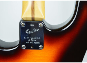 Fender Kenny Wayne Shepherd Stratocaster (79048)