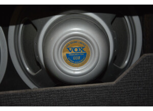 Vox AC30 Top Boost Vintage (284)