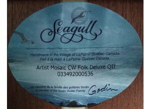 Seagull Artist Mosaic CW Folk QII (29965)