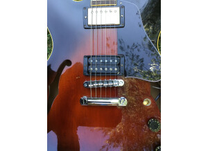 Gibson ES-335 PRO (92620)