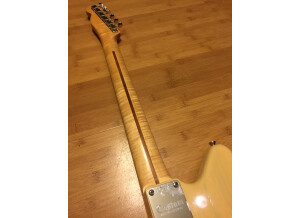 Fender Telemaster (33486)